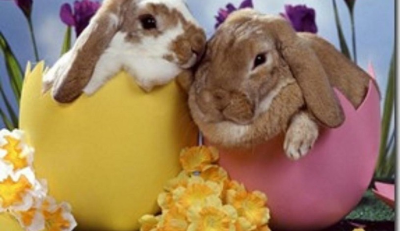 Wellness Hotel Astra*** superior Špindlerův Mlýn